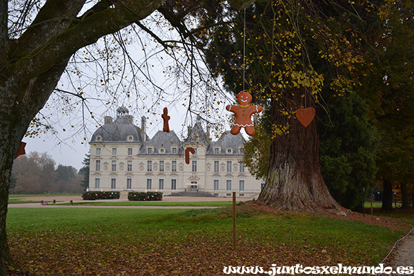 Castillo de Cheverny 18