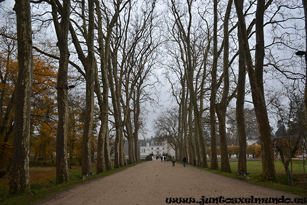 Castillo de Chenonceau 1