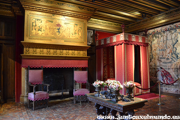 Castillo de Chenonceau 10