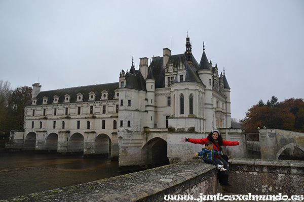 Castillo de Chenonceau 14