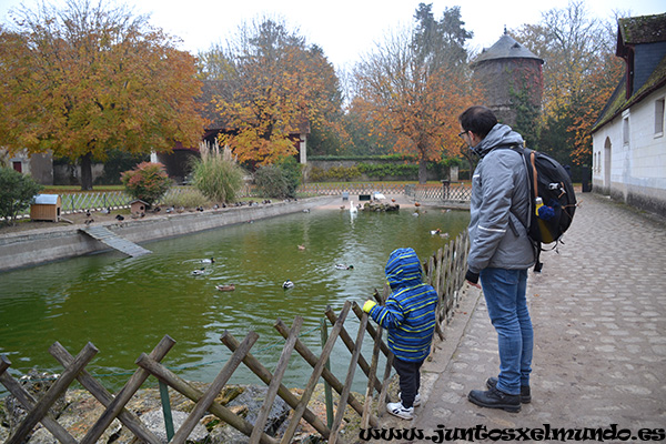 Castillo de Chenonceau 19