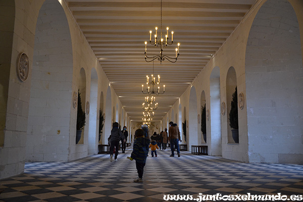 Castillo de Chenonceau 5