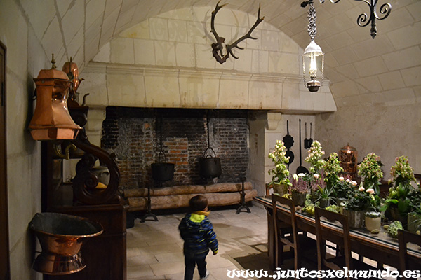 Castillo de Chenonceau 7