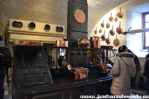 Castillo de Chenonceau 8