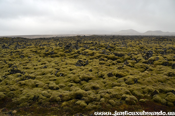 Campo de lava Berserkjahraun 2