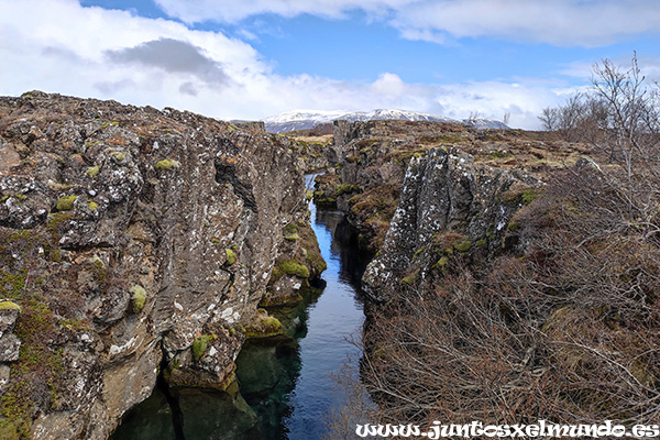 Flosagja fissure 2