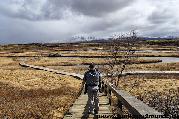 Thingvellir 3