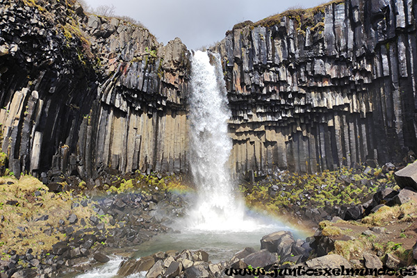 Svartifoss 2