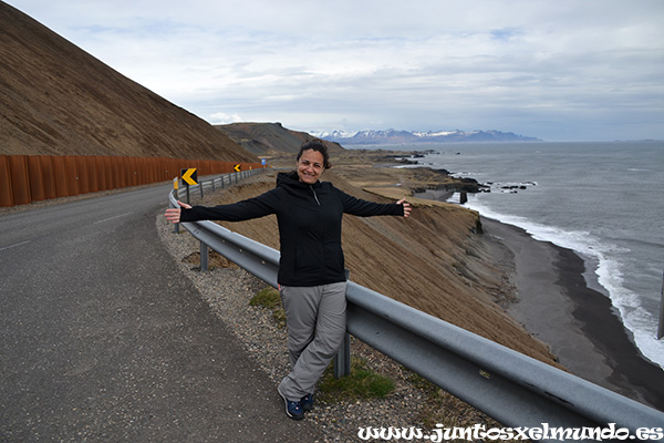 Carretera de Hofn a Djupivogur 4