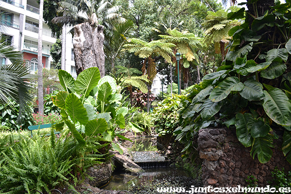 Jardim municipal do Funchal 2