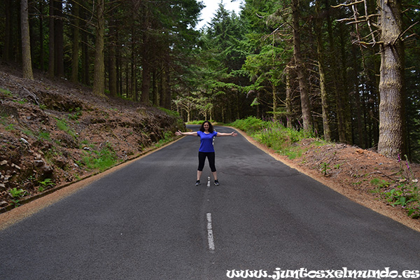 Carretera de Pico do Arieiro a Santana