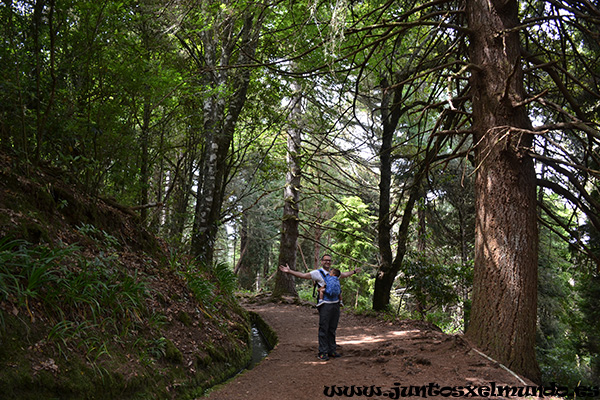 Levada de Caldeirao Verde 1