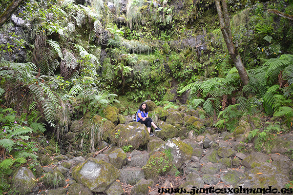 Levada de Caldeirao Verde 3