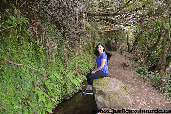 Levada de Caldeirao Verde 4