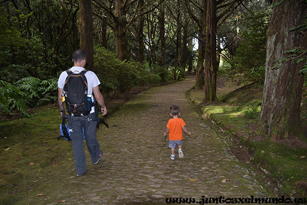 Levada de Caldeirao Verde 8