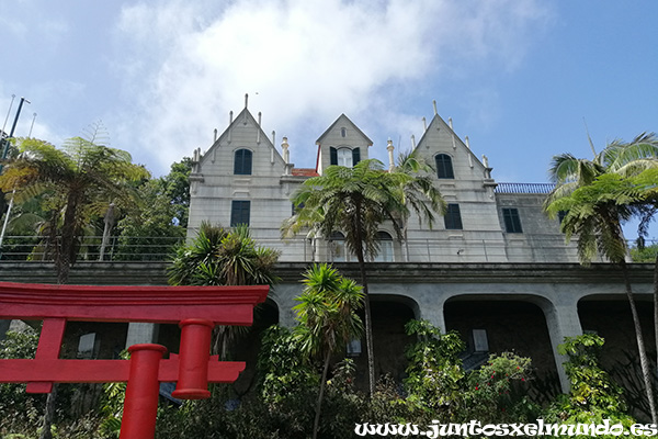 Jardim Tropical Monte Palace 7