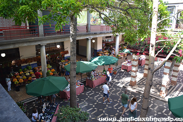 Mercado de los Lavradores 6