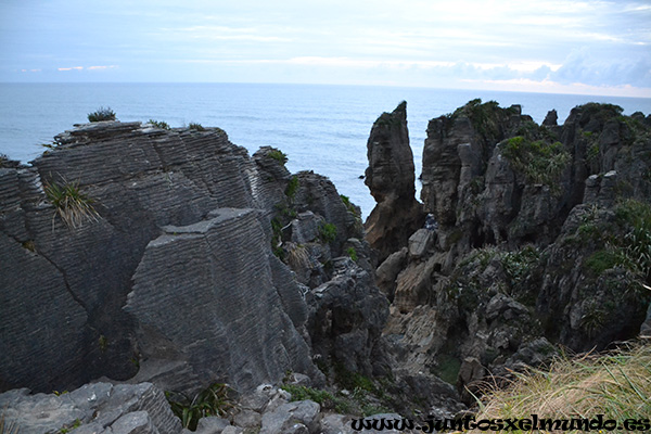 Punakaiki 1