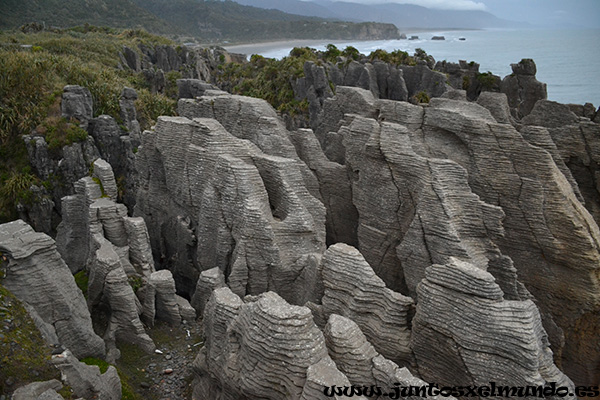 Punakaiki 4