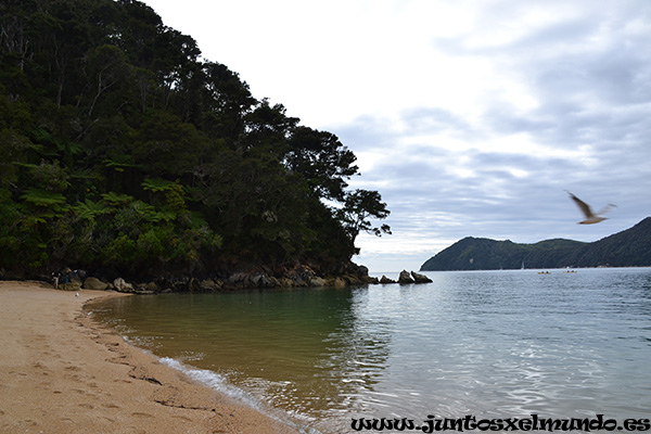 Abel Tasman 4