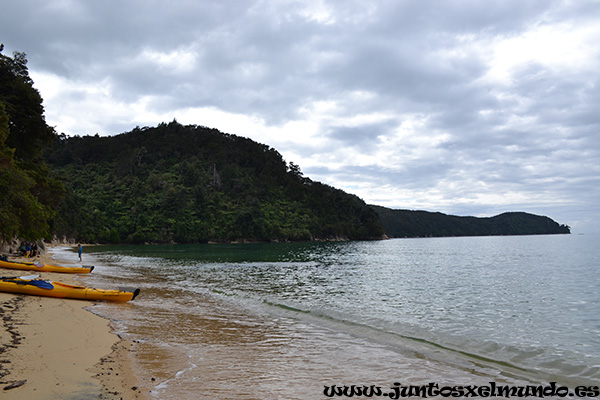 Abel Tasman 5