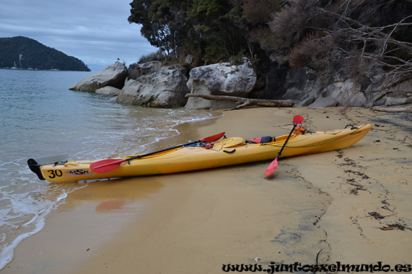 Abel Tasman 6