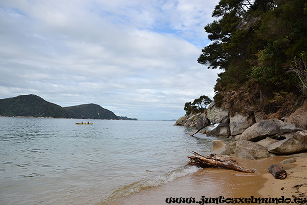 Abel Tasman 7