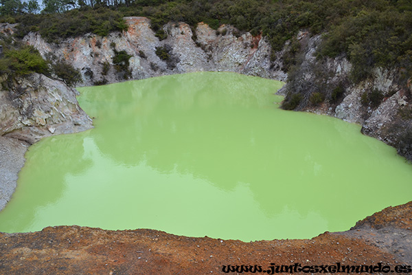 Wai O Tapu 10