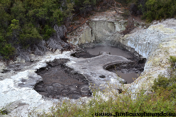 Wai O Tapu 2