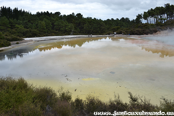 Wai O Tapu 3