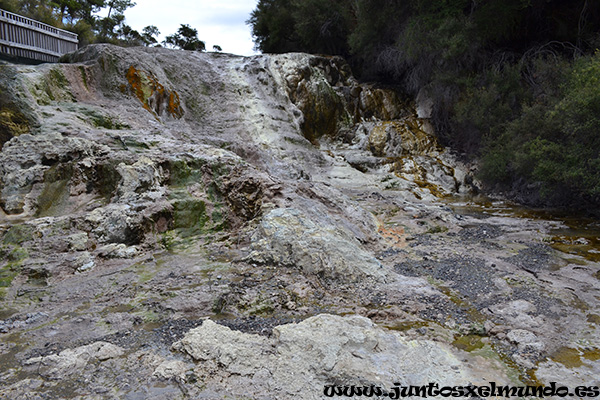 Wai O Tapu 6