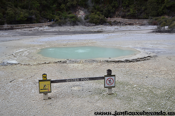 Wai O Tapu 7