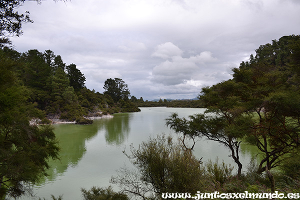 Wai O Tapu 8