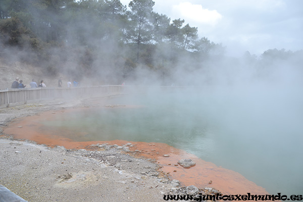 Wai O Tapu 9