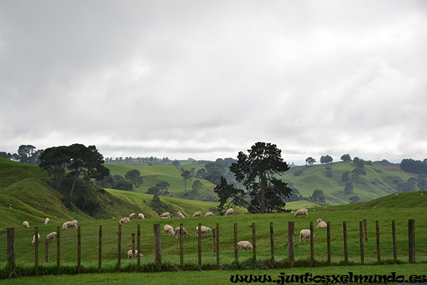 Camino de Hobbiton