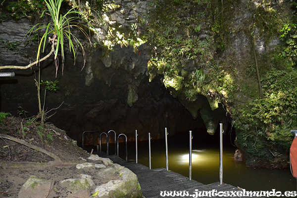 Cueva Waitomo