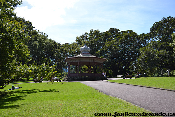 Auckland Albert Park 1