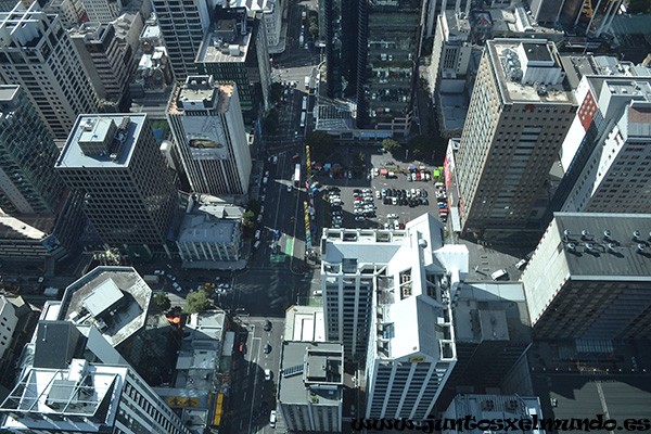 Sky Tower Auckland 3