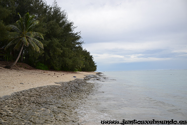 Fruits of Rarotonga beach