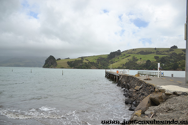 Akaroa 1