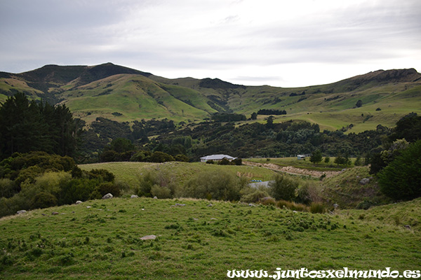 De Cristchurh a Akaroa 1