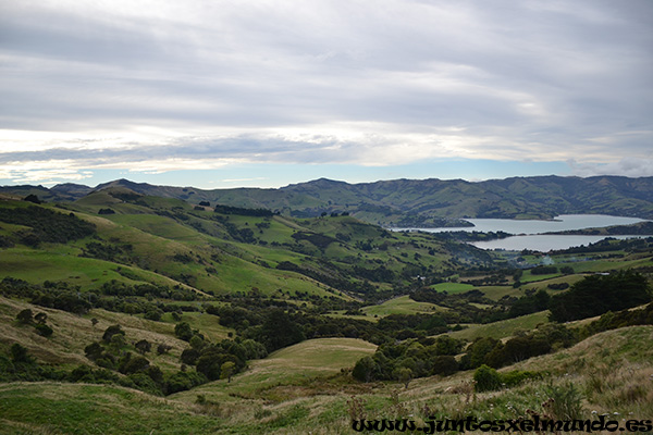 De Cristchurh a Akaroa 3