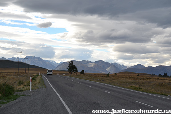 De Geraldine a Tekapo 5