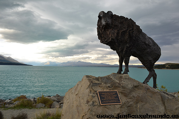 Lago Pukaki 5