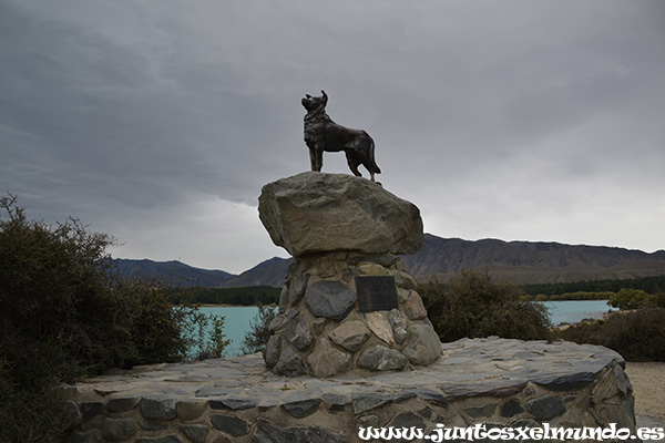 Lago Tekapo 4