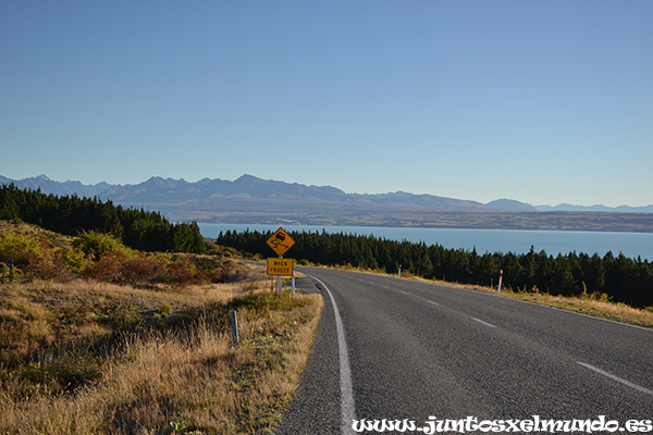 Del Lago Pukaki al Monte Cook 1