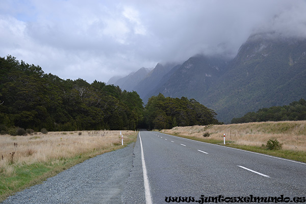 De Milford Sound a Te Anau 4