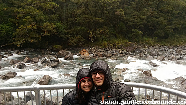 De Milford Sound a Te Anau 6