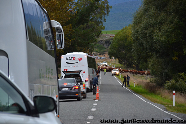 De Te Anau a Milford Sound