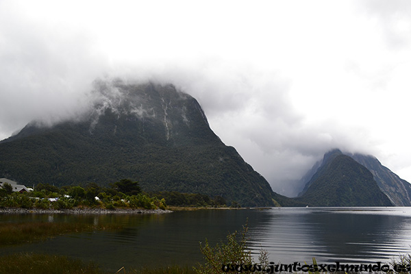 Milford Sound 11